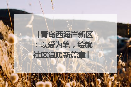 青岛西海岸新区：以爱为笔，绘就社区温暖新篇章