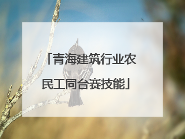 青海建筑行业农民工同台赛技能