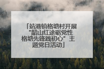 靖港镇格塘村开展“韶山红途砺党性 格塘先锋践初心”主题党日活动