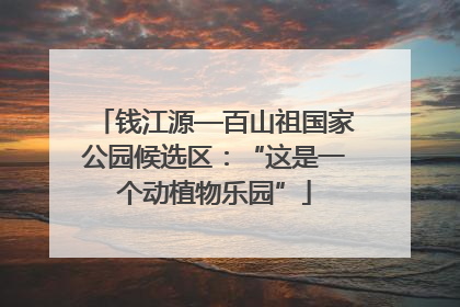 钱江源—百山祖国家公园候选区：“这是一个动植物乐园”