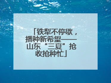 铁犁不停歇，播种新希望——山东“三夏”抢收抢种忙