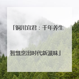 铜川宜君：千年养生智慧烹出时代新滋味