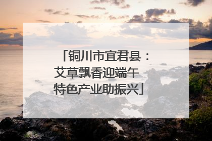 铜川市宜君县：艾草飘香迎端午 特色产业助振兴