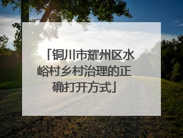 铜川市耀州区水峪村乡村治理的正确打开方式