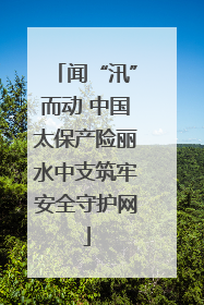 闻“汛”而动 中国太保产险丽水中支筑牢安全守护网
