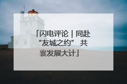 闪电评论｜同赴“友城之约” 共襄发展大计