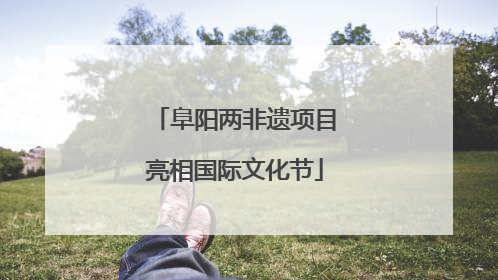 阜阳两非遗项目亮相国际文化节