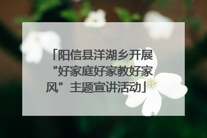 阳信县洋湖乡开展“好家庭好家教好家风”主题宣讲活动