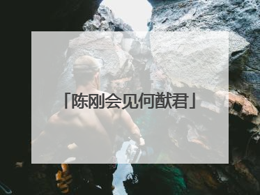 陈刚会见何猷君