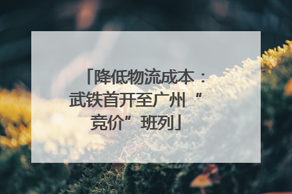 降低物流成本：武铁首开至广州“竞价”班列