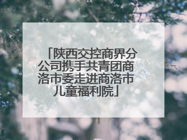 陕西交控商界分公司携手共青团商洛市委走进商洛市儿童福利院