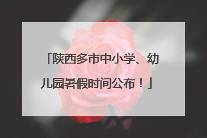 陕西多市中小学、幼儿园暑假时间公布！
