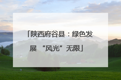 陕西府谷县：绿色发展 “风光”无限