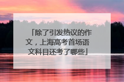 除了引发热议的作文，上海高考首场语文科目还考了哪些