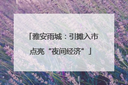 雅安雨城：引摊入市 点亮“夜间经济”