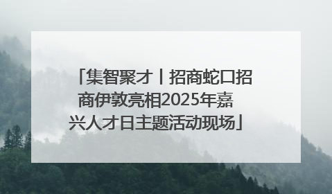 集智聚才丨招商蛇口招商伊敦亮相2025年嘉兴人才日主题活动现场