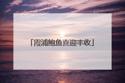 霞浦鲍鱼喜迎丰收