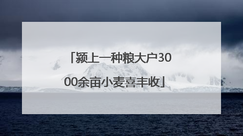 颍上一种粮大户3000余亩小麦喜丰收