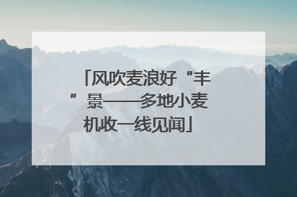 风吹麦浪好“丰”景——多地小麦机收一线见闻