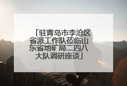驻青岛市李沧区省派工作队莅临山东省地矿局二四八大队调研座谈