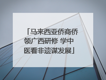 马来西亚侨商侨领广西研修 学中医看非遗谋发展
