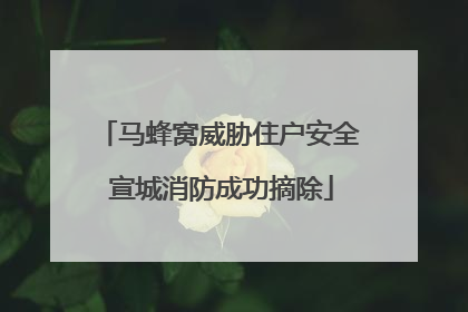 马蜂窝威胁住户安全 宣城消防成功摘除