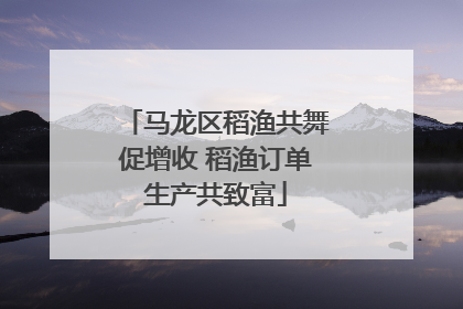 马龙区稻渔共舞促增收 稻渔订单生产共致富