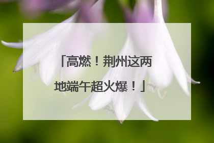 高燃！荆州这两地端午超火爆！
