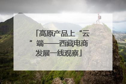 高原产品上“云”端——西藏电商发展一线观察