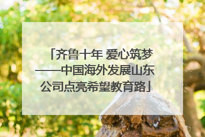 齐鲁十年 爱心筑梦——中国海外发展山东公司点亮希望教育路