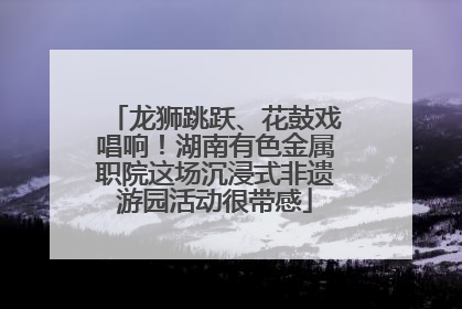龙狮跳跃、花鼓戏唱响！湖南有色金属职院这场沉浸式非遗游园活动很带感