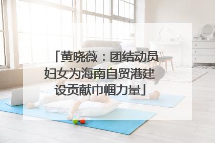 黄晓薇：团结动员妇女为海南自贸港建设贡献巾帼力量
