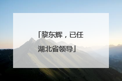 黎东辉，已任湖北省领导