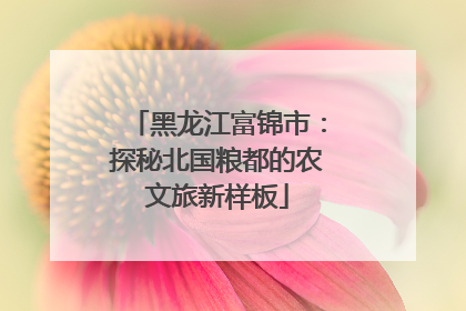 黑龙江富锦市：探秘北国粮都的农文旅新样板