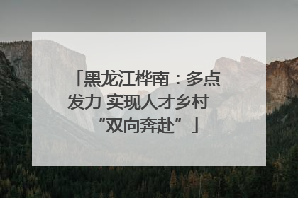 黑龙江桦南：多点发力 实现人才乡村“双向奔赴”