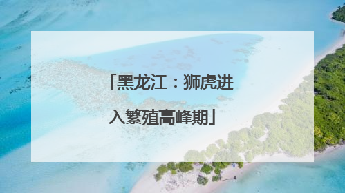 黑龙江：狮虎进入繁殖高峰期