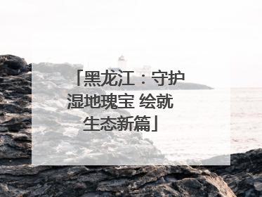 黑龙江：守护湿地瑰宝 绘就生态新篇