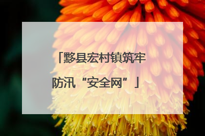 黟县宏村镇筑牢防汛“安全网”