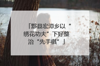 黟县宏潭乡以“绣花功夫”下好整治“先手棋”