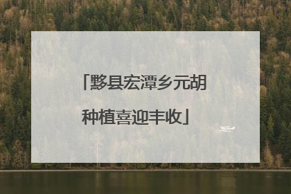 黟县宏潭乡元胡种植喜迎丰收