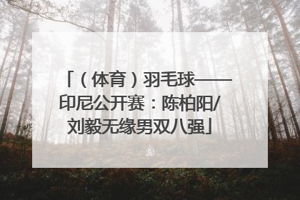 （体育）羽毛球——印尼公开赛：陈柏阳/刘毅无缘男双八强