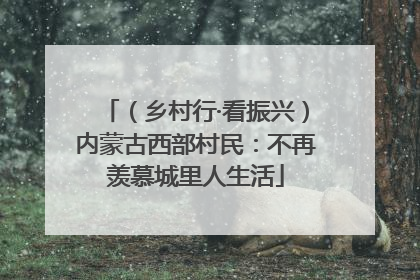 （乡村行·看振兴）内蒙古西部村民：不再羡慕城里人生活