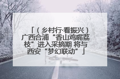 （乡村行·看振兴）广西合浦“香山鸡嘴荔枝”进入采摘期 将与西安“梦幻联动”