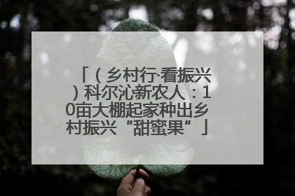 （乡村行·看振兴）科尔沁新农人：10亩大棚起家种出乡村振兴“甜蜜果”