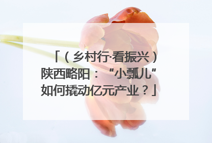 （乡村行·看振兴）陕西略阳：“小瓢儿”如何撬动亿元产业？