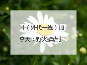 （外代一线）加拿大：野火肆虐