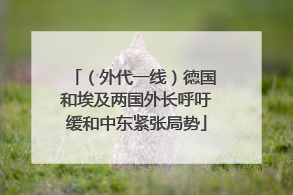 （外代一线）德国和埃及两国外长呼吁缓和中东紧张局势