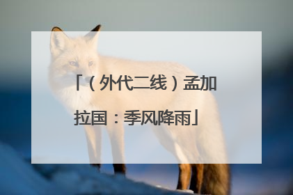（外代二线）孟加拉国：季风降雨