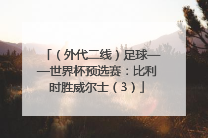（外代二线）足球——世界杯预选赛：比利时胜威尔士（3）
