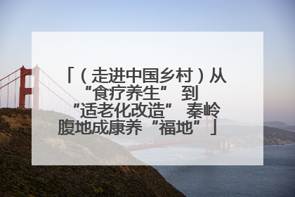 （走进中国乡村）从 “食疗养生” 到 “适老化改造” 秦岭腹地成康养“福地”